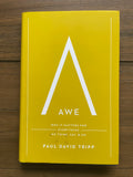 Awe: Why It Matters for Everything We Think, Say, and Do
